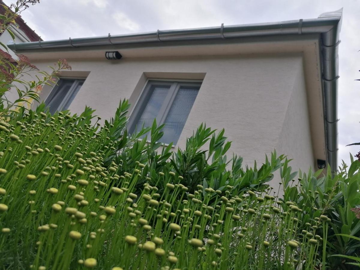 Levelke Mini Apartman Gárdony Εξωτερικό φωτογραφία